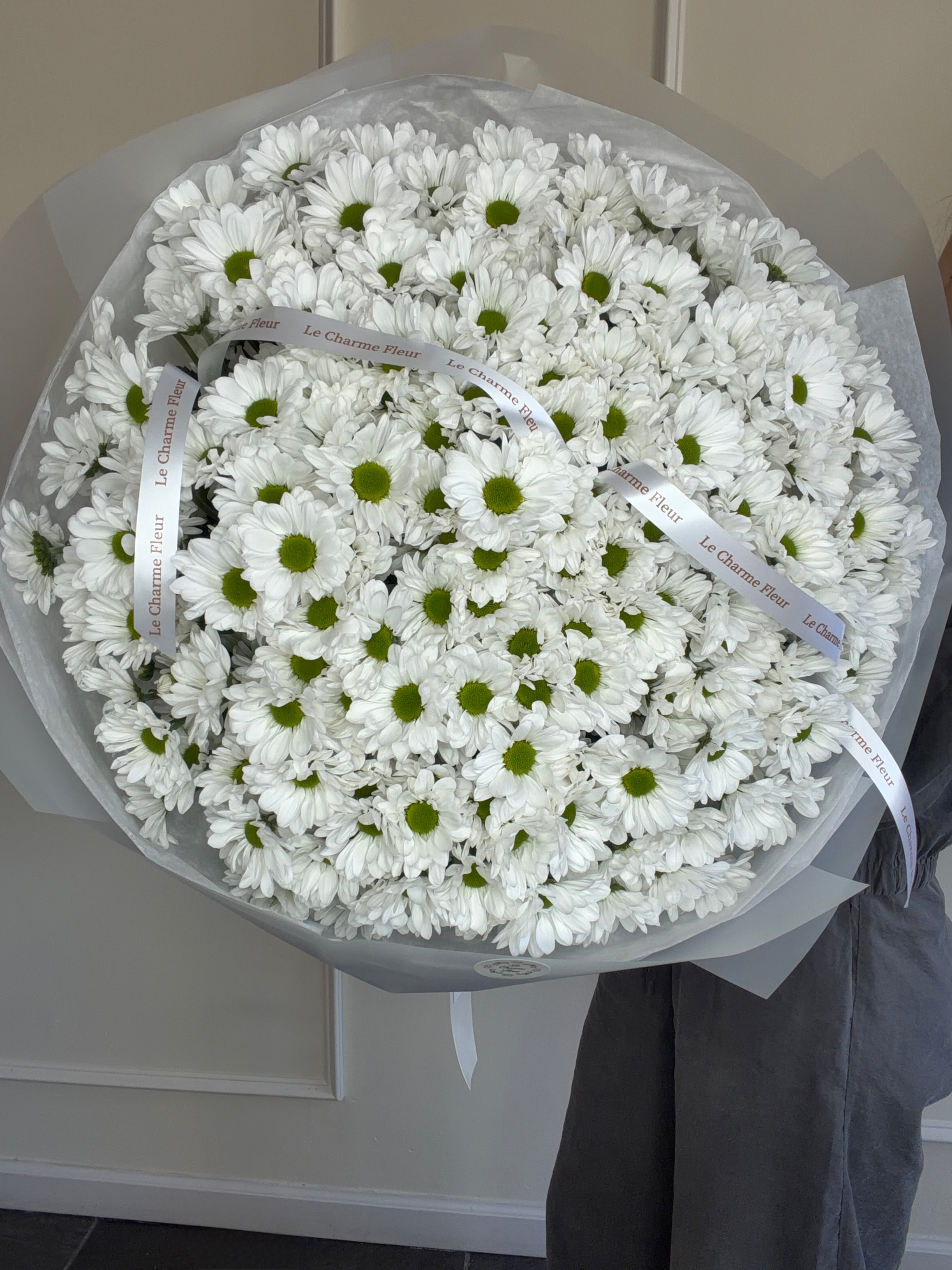 Pure Daisy Cloud
