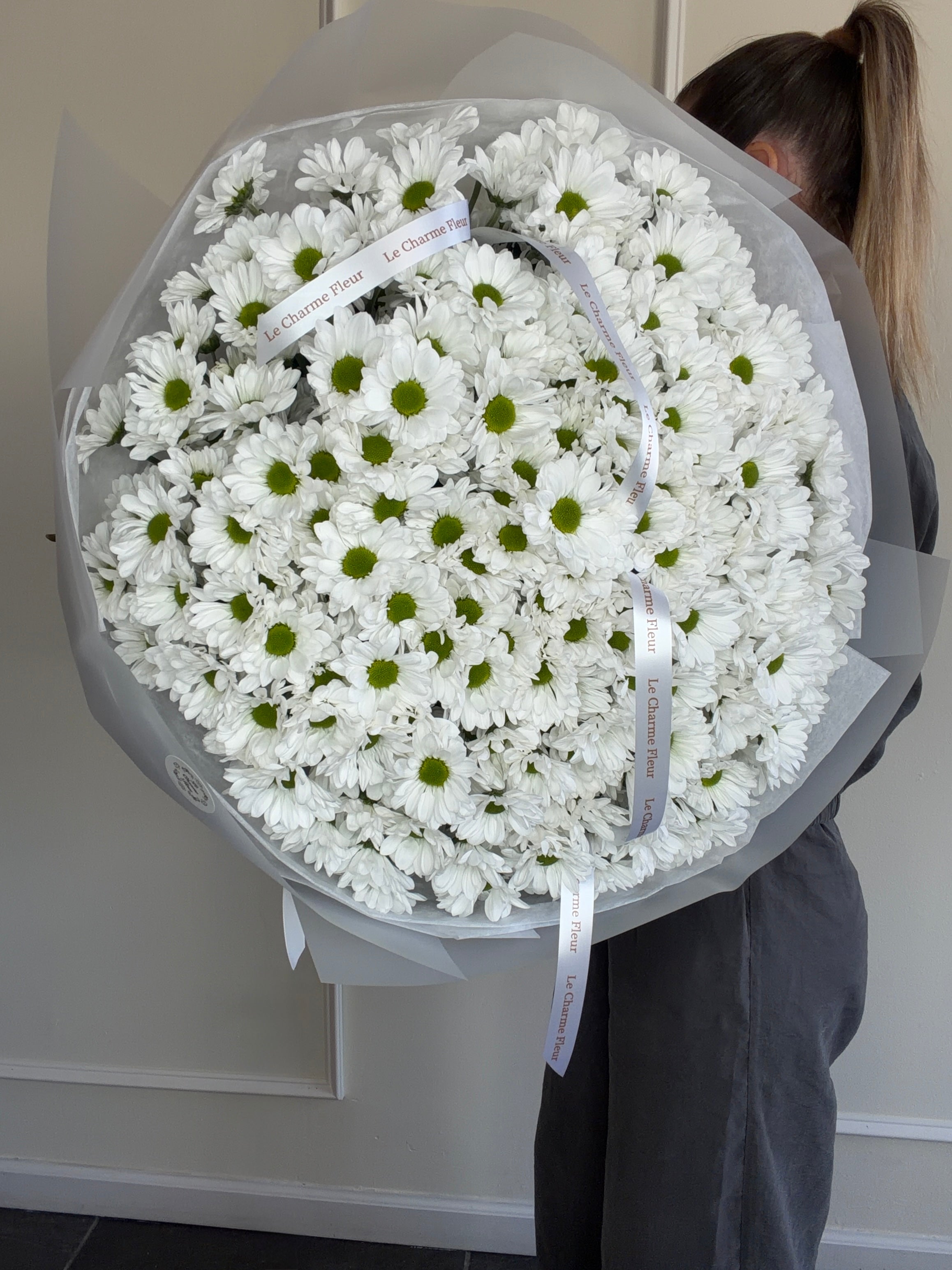 Pure Daisy Cloud