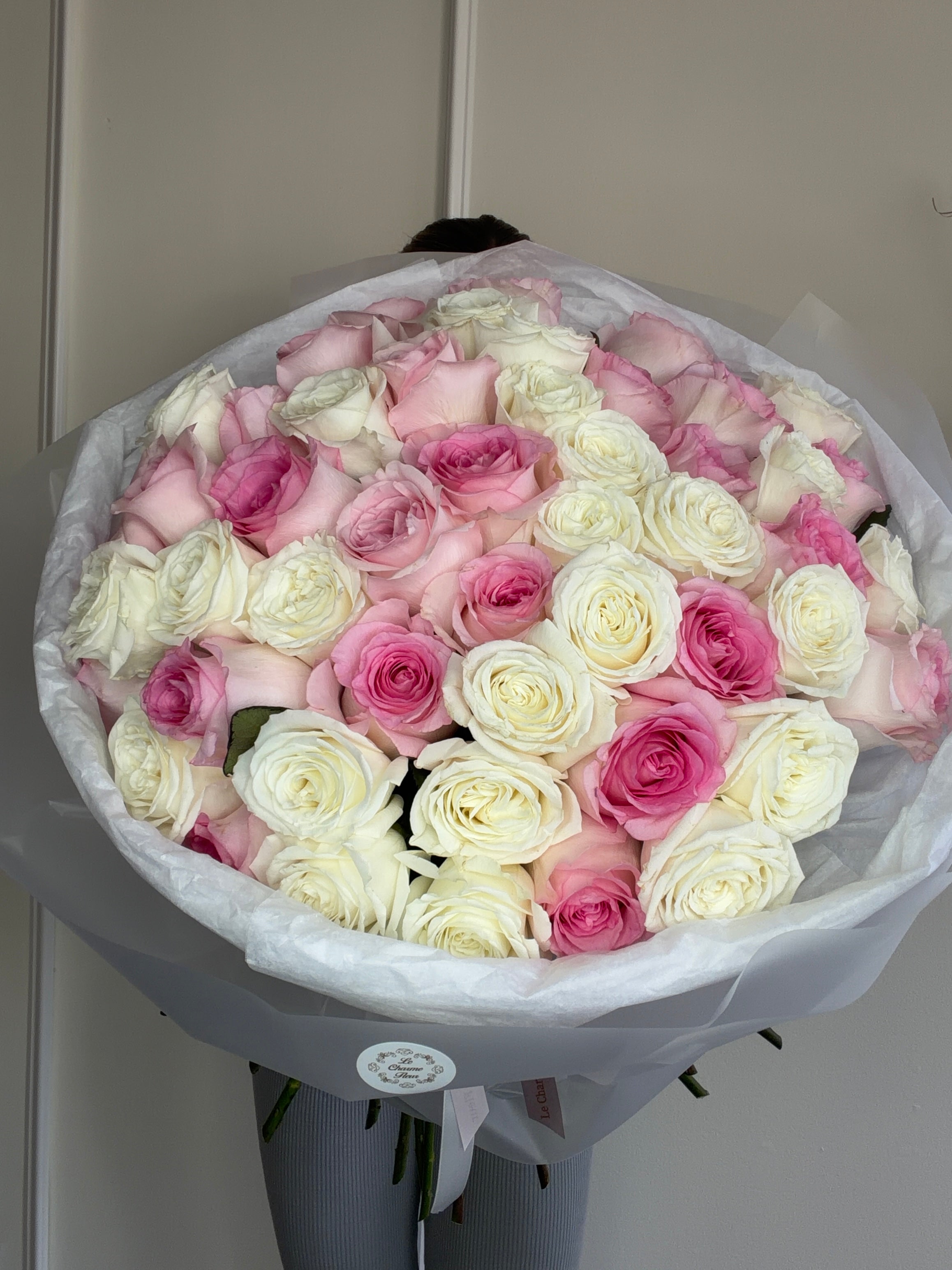 Blush Harmony Roses