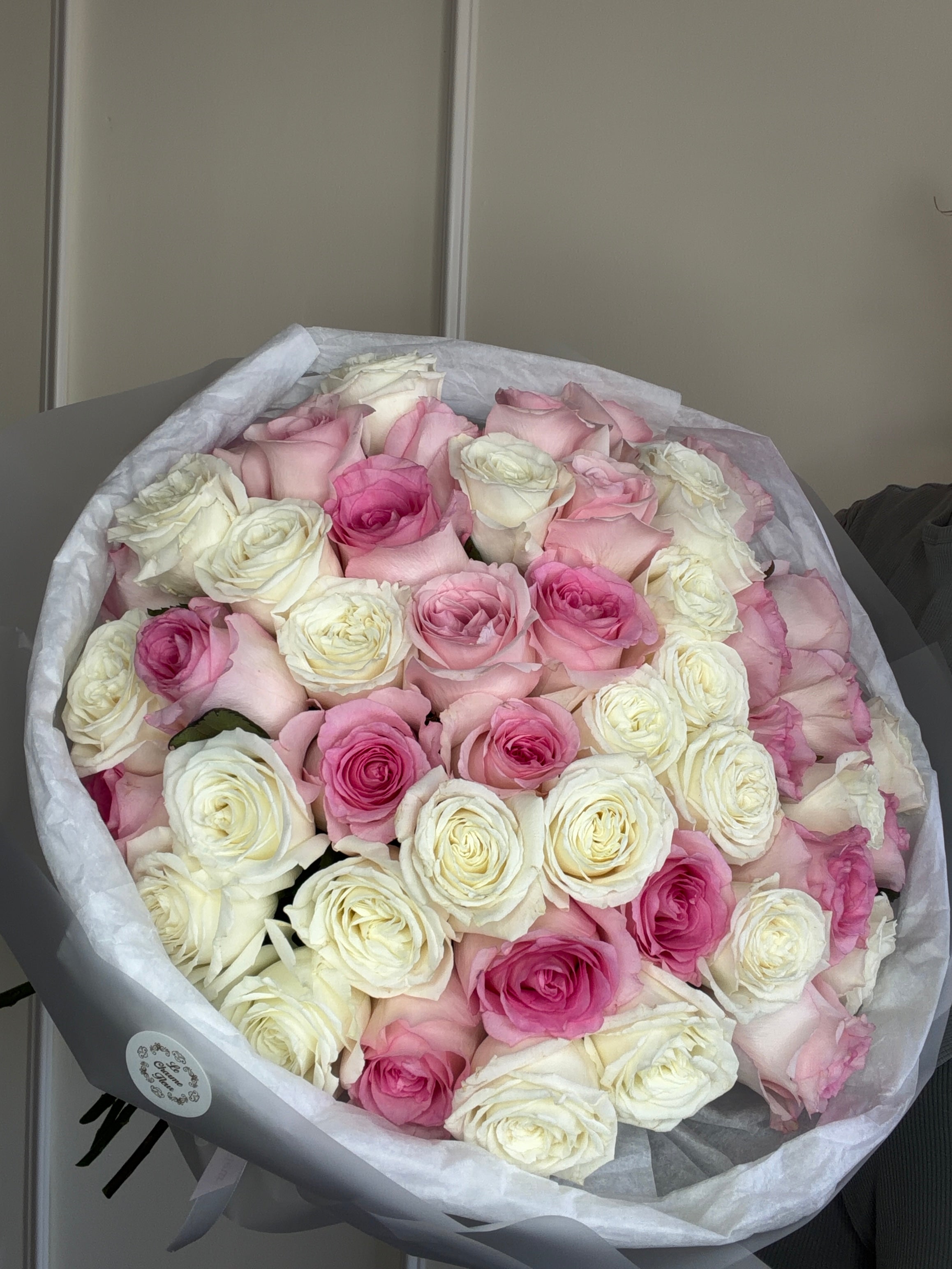 Blush Harmony Roses