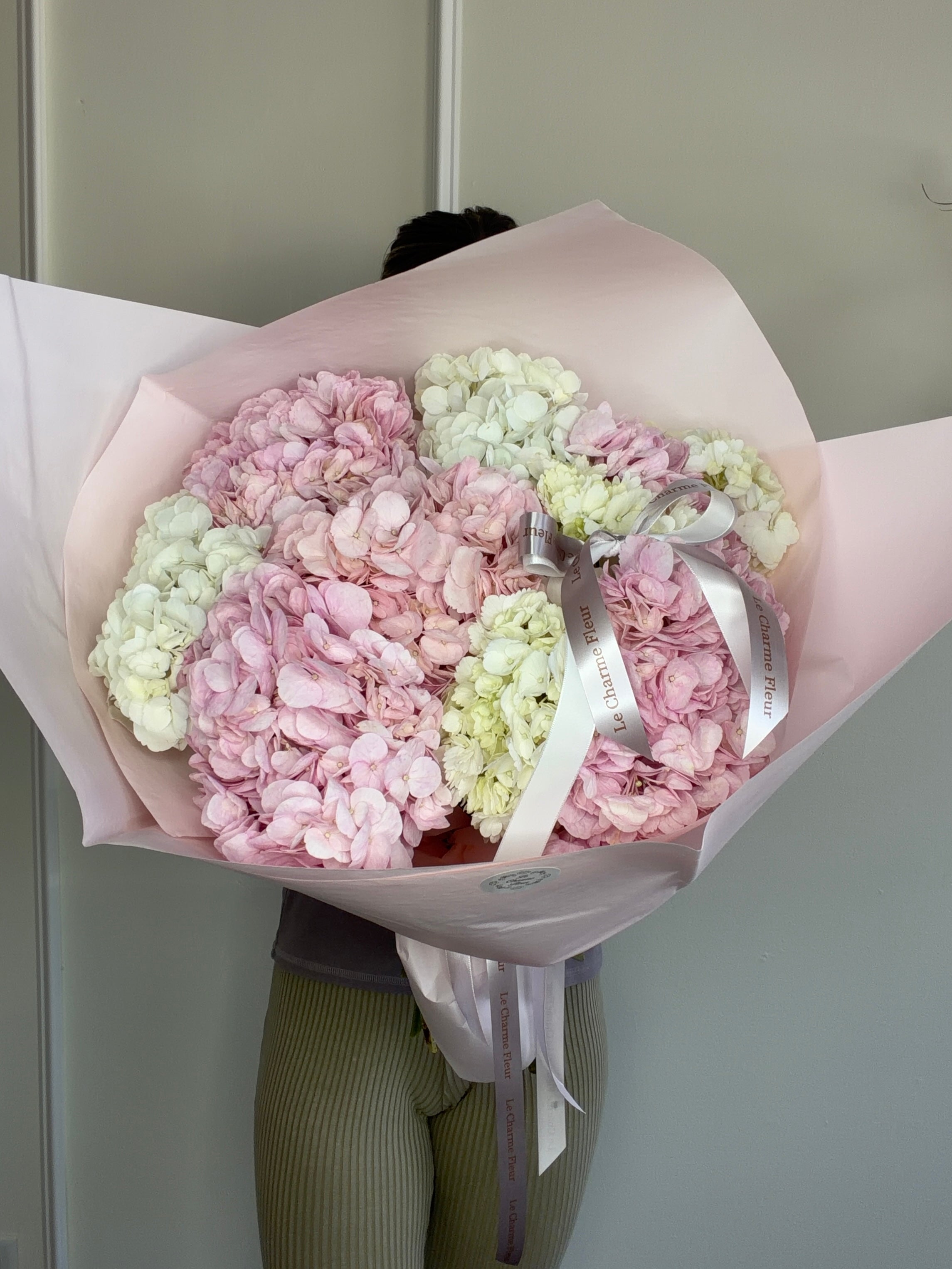 Cloud of Hydrangea