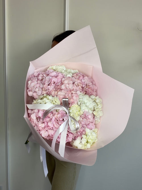 Cloud of Hydrangea